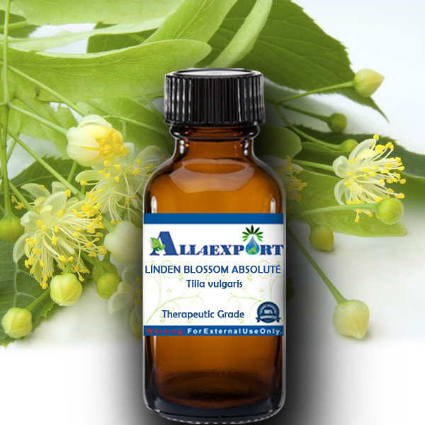 LINDEN BLOSSOM ABSOLUTE OIL